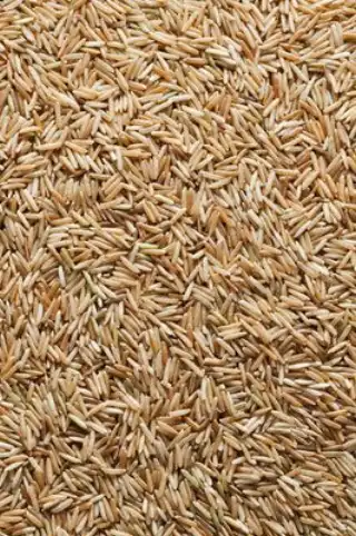 Brown rice